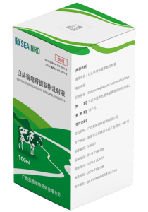 白头翁皂苷提取物注射液