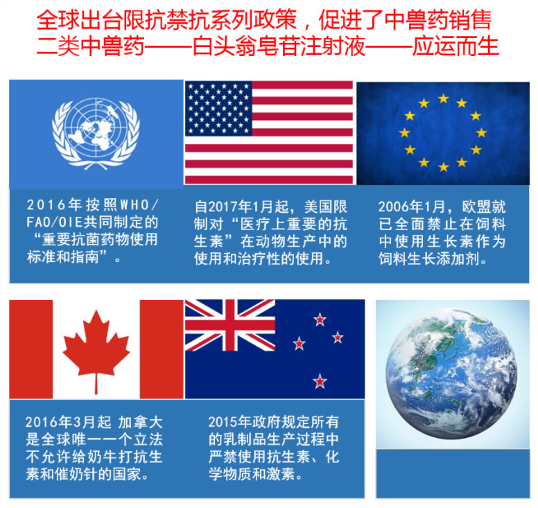 guoji01-1.jpg